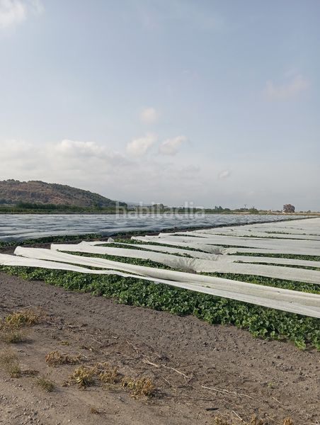 Foto ebf2aa26-ae23-49f0-a1d4-9ac10704d9ca. Finca rústica a Almenara
