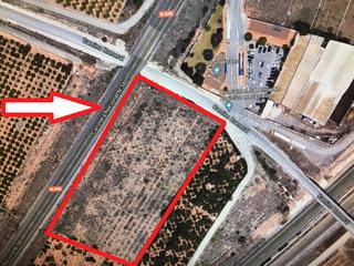 Rent Rural plot in Carretera de baix 102