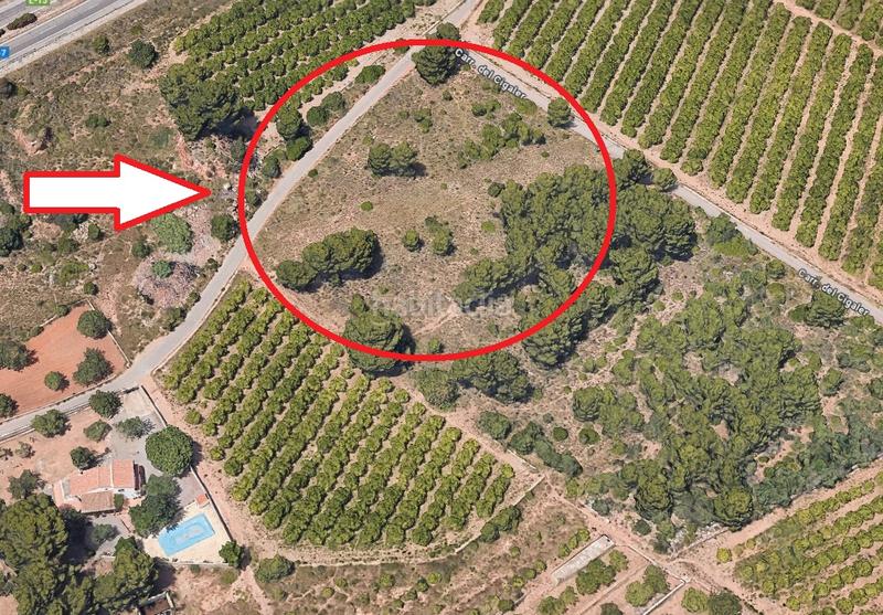 Foto 1f8aacd3-178b-4c11-89bb-e689d1fce196. Finca rústica en n/a en Montornés-Las Palmas-El Refugio Benicasim / Benicàssim