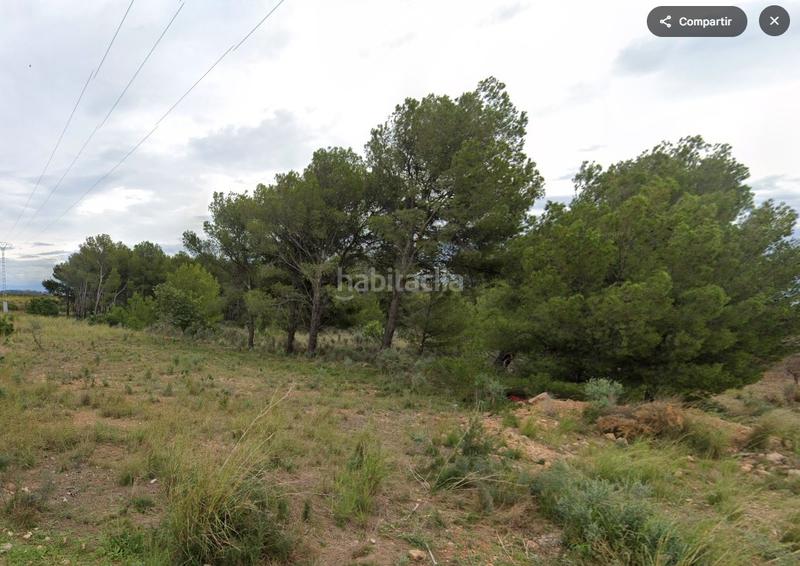 Foto de48bf89-ba9d-4b18-b6b1-8a3d3d6758a0. Finca rústica en n/a en Montornés-Las Palmas-El Refugio Benicasim / Benicàssim