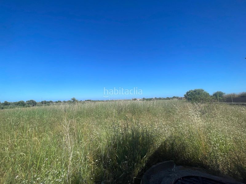 Foto 9f7f05da-6e5d-4780-8c16-d6cec39fe847. Finca rústica a n/a a Alcossebre
