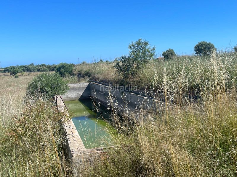 Foto a706b3d3-8c46-44ab-8219-97c0bab0ed88. Finca rústica a n/a a Alcossebre