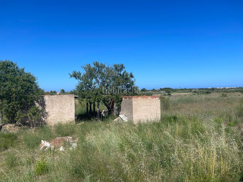 Foto cddb510f-78ca-4ba0-9752-2b96afbfde73. Finca rústica a n/a a Alcossebre