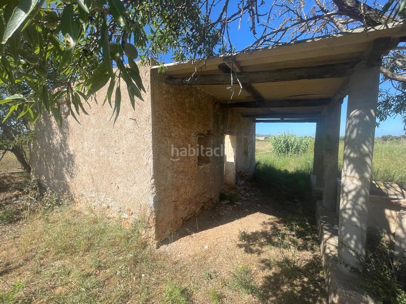 Foto d76bd4ca-f59f-43cd-b68b-0d93dd3be70f. Finca rústica a n/a a Alcossebre