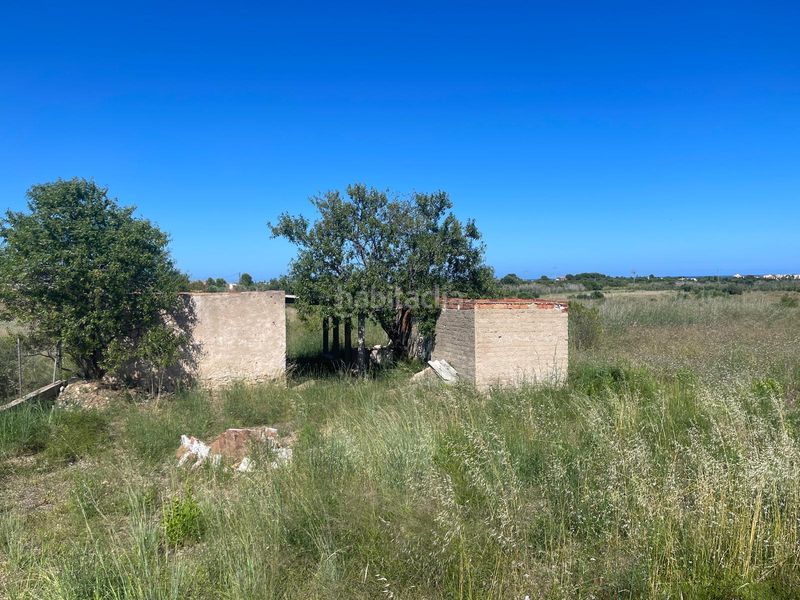 Foto da5c5111-fe45-437f-a6e7-676abf98bb27. Finca rústica a n/a a Alcossebre