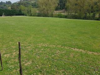 Terreny residencial en Mioo-Santulln. Terreno en venta  de 12000 metros en castro .