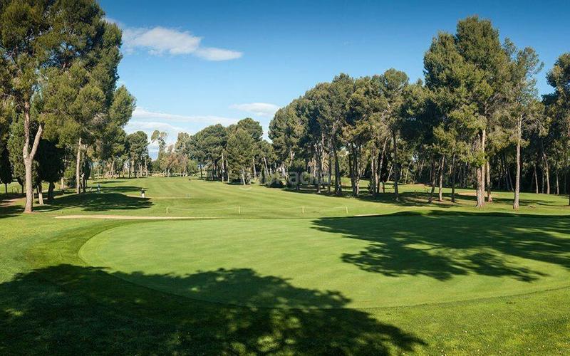 Foto 93afeb6d-999b-4129-b88c-df18b99ba0c0. Business premise in Foietes Benidorm