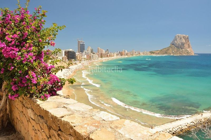 Foto fcda9cbd-c6ea-4c64-9356-4fa273a238fa. Local comercial a Foietes Benidorm