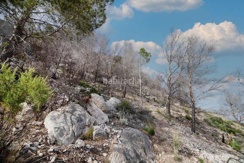 Foto 68484dac-d18a-445e-92df-1d97c454d2a5. Terreno residencial suelo urbanizable . sin comisión de agencia en Altea