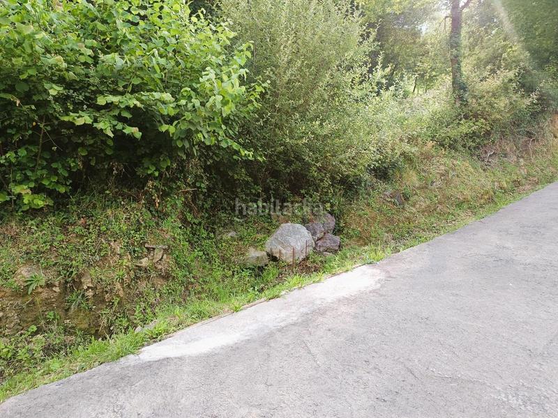 Foto ca86f481-552b-457c-8426-811a2e999157. Finca rústica a Okondo