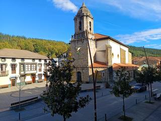 Pis a Zalla. Venta piso en el centro de zalla