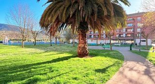 Local Comercial a Zalla