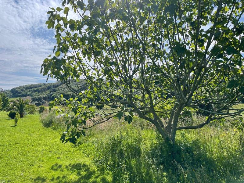 Foto 305ab863-a774-486b-82eb-b1285be5db21. Casa con parcheggio in Arnuero