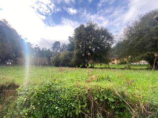 Terrain résidentiel à Escalante. Terrenos rústicos de calificación ordinaria en escalante