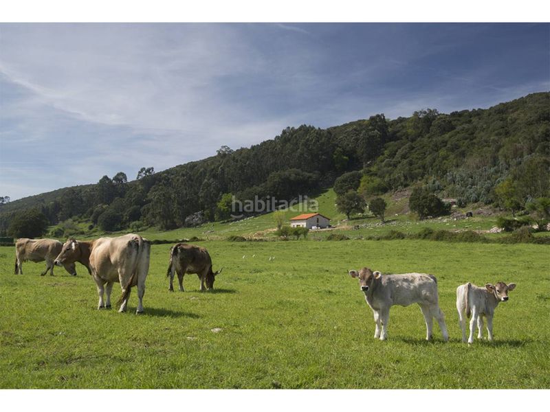 Foto adaad920-8ab7-4cdf-b0f3-79978c3bea6d. Pis amb calefacció piscina a Argoños