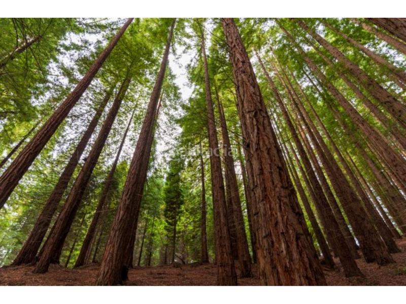 Foto 60aae155-1dec-4498-bcc6-b9e2f1da821d. Appartement avec chauffage dans Comillas