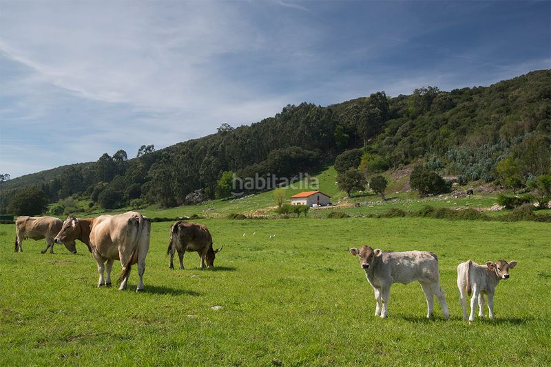 Foto 5de50402-2d05-4e3b-8732-bf94b57213ed. Apartamento 68m<sup>2</sup> en Argoños