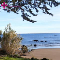 �tic en Tregad�n. D�plex de 3 habitaciones con ascensor en calle la costa trengand