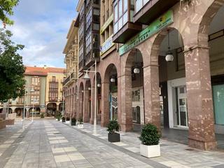 Business premise in Centro