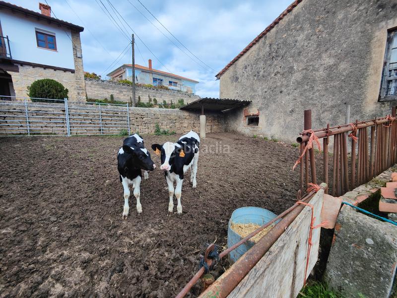 Foto 7999aa21-d109-468f-861c-d65fac0ef8d6. Mas dans barrio yuso 10 dans Santillana del Mar