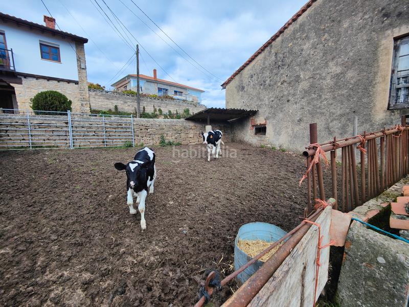 Foto a15a1da6-1937-4caa-8e7b-525b0f3ae82f. Masía en barrio yuso 10 en Santillana del Mar