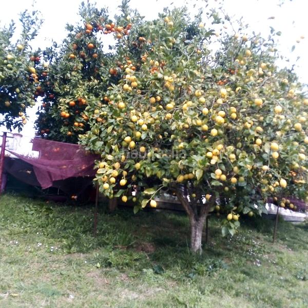 Foto f0c6c8a1-3919-47c3-8692-47903b2bcccc. Xalet amb calefacció aparcament a Parbayón Piélagos