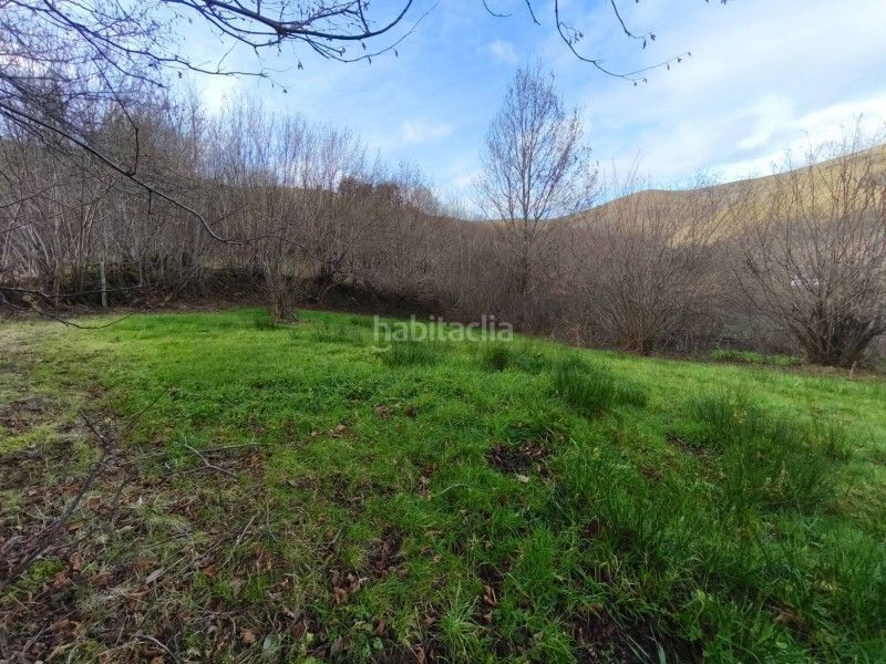 Foto bba49639-8708-42f0-8ffd-fda0e3baf0f6. Finca rústica a Rionansa