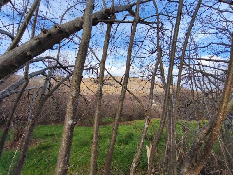 Foto f7997604-6420-427f-8f78-356d79617db6. Finca rústica a Rionansa