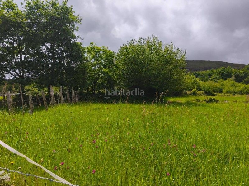 Foto 01dd591e-9f8c-40cb-b511-6c4df52e293c. Finca rústica a Rionansa