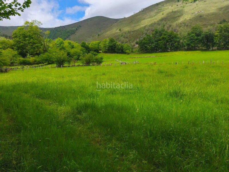 Foto a18682f4-81b9-4d33-94ec-8477b0ab4b90. Finca rústica a Rionansa