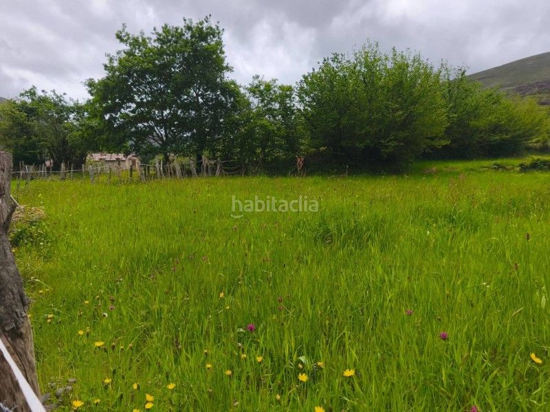 Foto a3bf1767-14c7-4813-95d7-eef73e9d78f0. Finca rústica a Rionansa