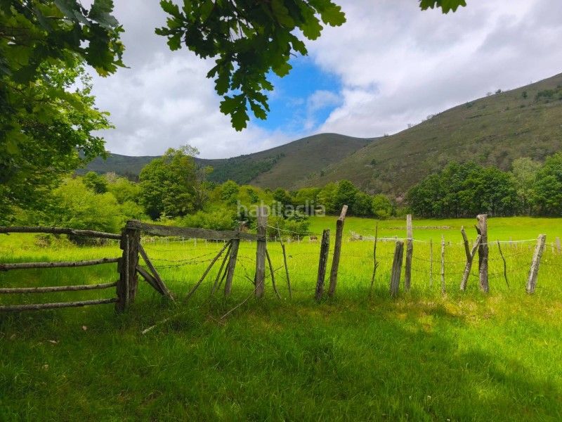 Foto f1ff4b6c-647c-4c88-87d6-bcdb6fa151e6. Finca rústica a Rionansa