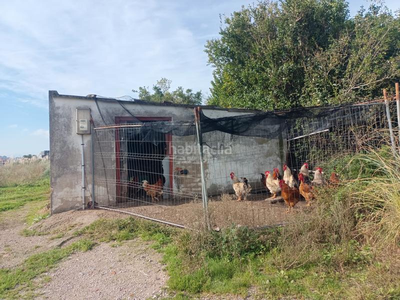 Foto 5a1f5432-b389-4847-b901-2adade610ab7. Finca rústica en Monte Santander