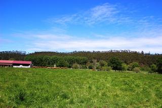Terreno residenziale in Mazcuerras