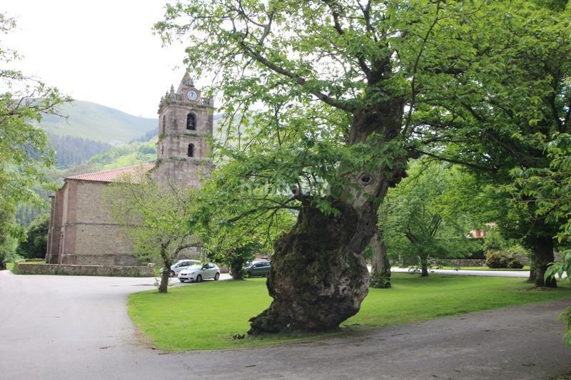 Foto 41841bbb-a8c2-475f-b5b3-b66a8bf1c9ce. Casa in Cabuérniga