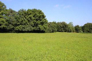 Residential Plot in Alfoz de Lloredo
