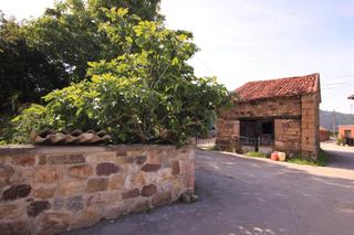 Maison à Ruente. Para reformar en ucieda