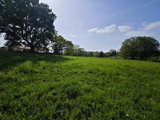 Terreno residenziale in Luzmela-mazcuerras 501. Finca rústica en venta en villanueva de la peña mazcuerras