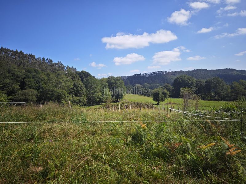 Foto ff50bc7e-1c34-43c1-abcf-e15f89f9be35. Terreny residencial a Mazcuerras