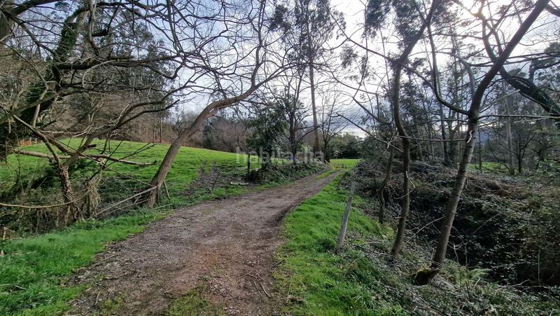 Foto 843dd4f3-e0cd-499d-88dd-688f6d5e6132. Masia a Reocín