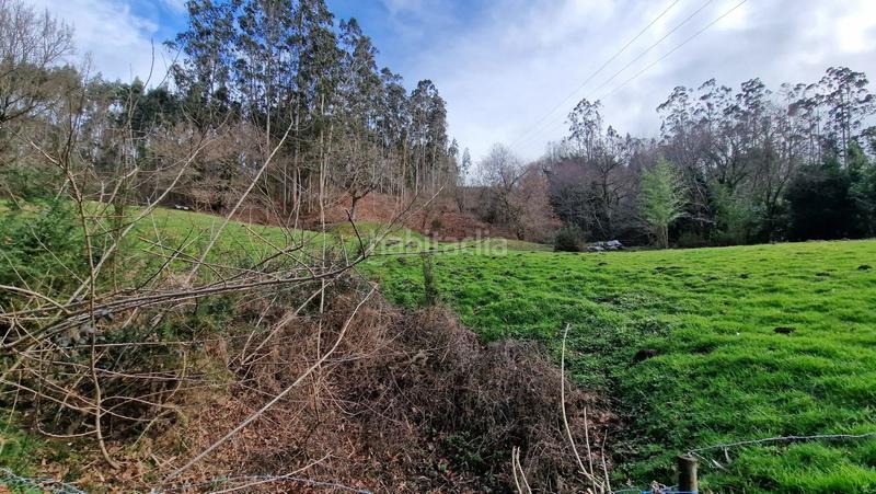 Foto a56a8a83-2e1d-4498-bc53-1c5ab0f49aad. Masia a Reocín