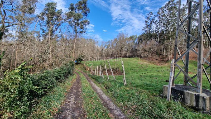 Foto ca6ab76c-207e-42ff-b662-d9221d34dbf1. Masia a Reocín