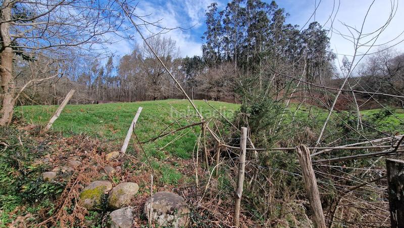 Foto ea061542-1d98-4115-aa4d-d17ed39ff294. Masia a Reocín