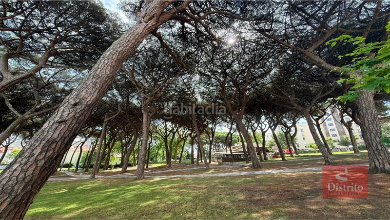 Foto 98f5edb2-8e9d-491d-88d9-d32fbd450e96. Pis amb calefacció aparcament a Los Castros Santander