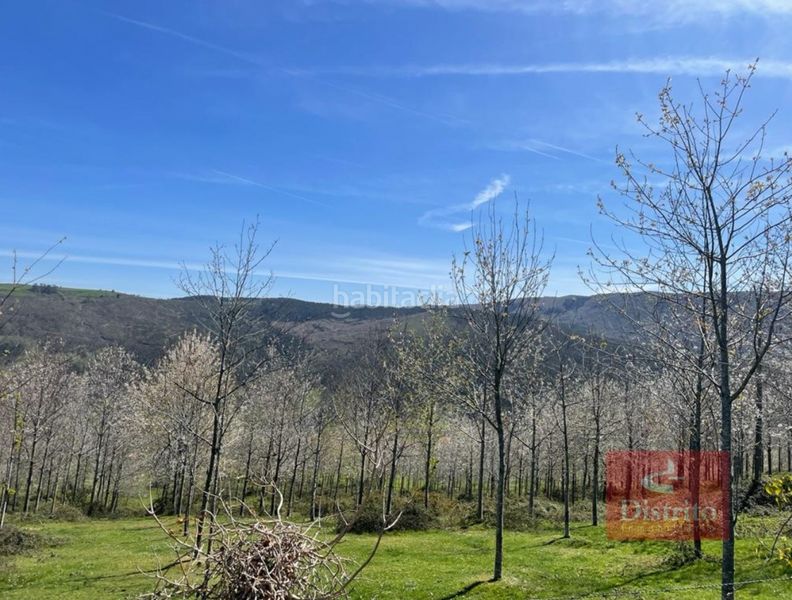 Foto 05ca01ce-e5db-4613-8cc7-db776002b383. Finca rústica a Valdáliga