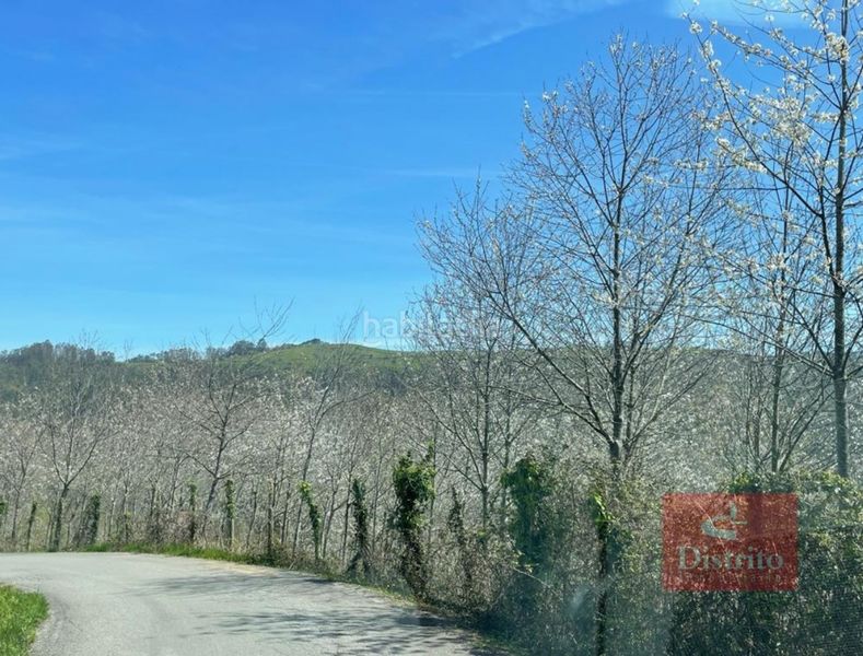 Foto 1a4043fc-d0fa-476d-9bd2-1bd7a537d112. Finca rústica a Valdáliga