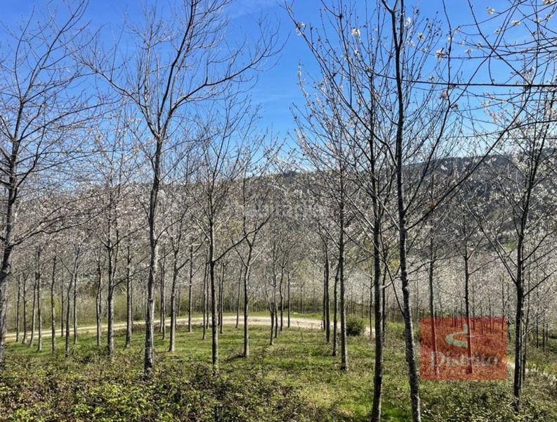 Foto 68f7af76-43fc-49f1-8d0d-d48141da8d5a. Finca rústica a Valdáliga