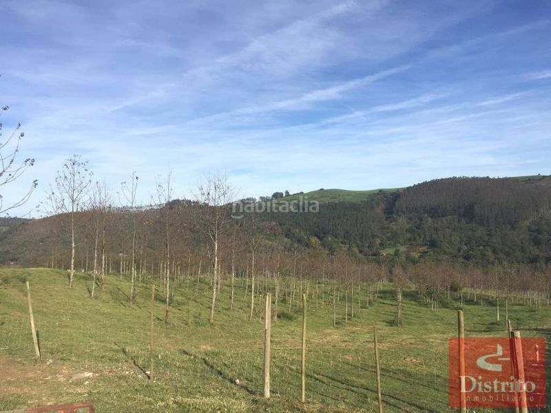 Foto a912a5df-4611-41c1-987c-6508f4598946. Finca rústica a Valdáliga