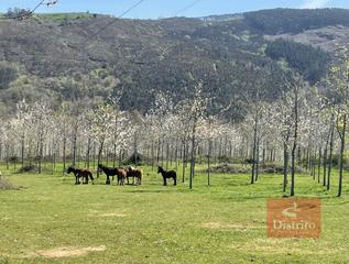 Terreny residencial  Valdáliga - barrio la herrería. Finca en venta en treceño