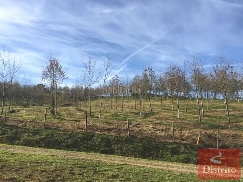 Foto c2f1eb50-d430-4626-9b04-c7df99470283. Finca rústica a Valdáliga